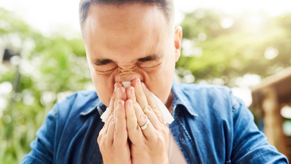 How to manage your hay fever symptoms