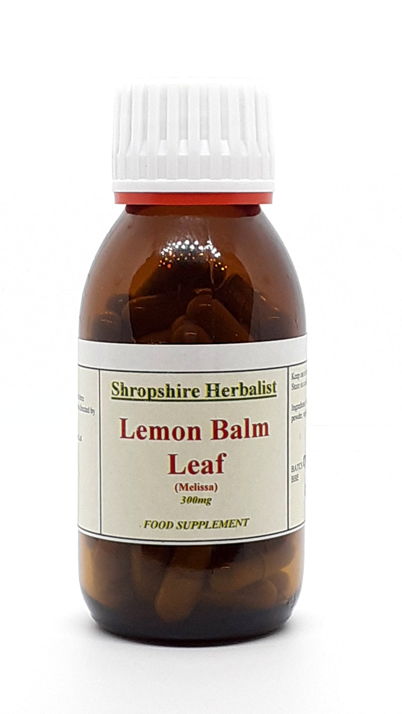 Lemon Balm Leaf