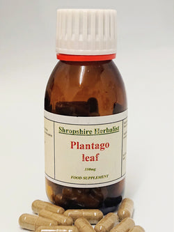 Plantago Leaf Capsules