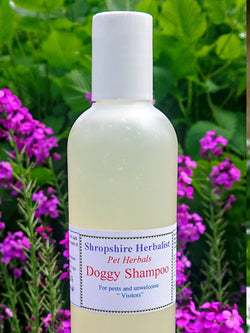 Natural Doggy Shampoo