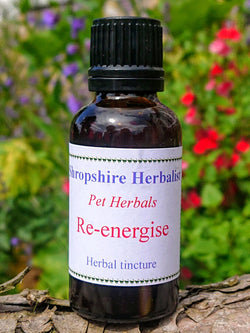 Re-Energise Natural Pet Oswestry Herbarium